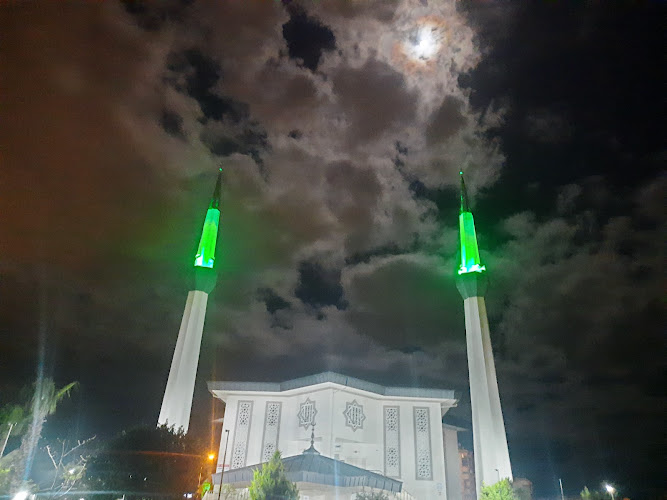Nusrat Divine Mosque