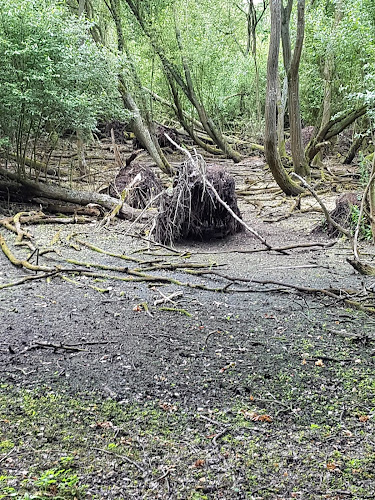 Cobbins Brook FAS