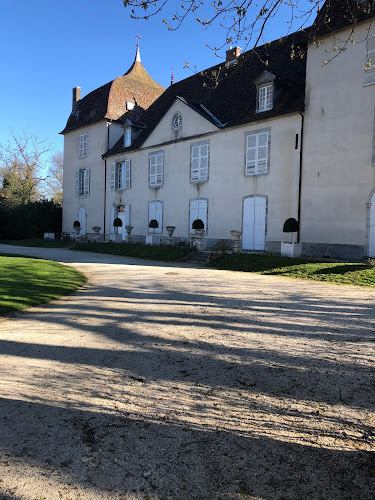 Roche-sur-Loue Castle (Château de Roche sur Loue)