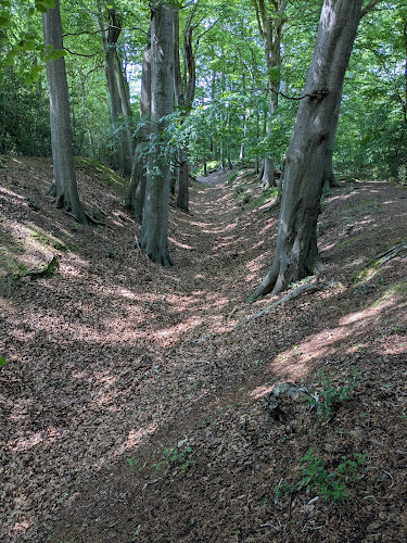 Cholesbury Camp