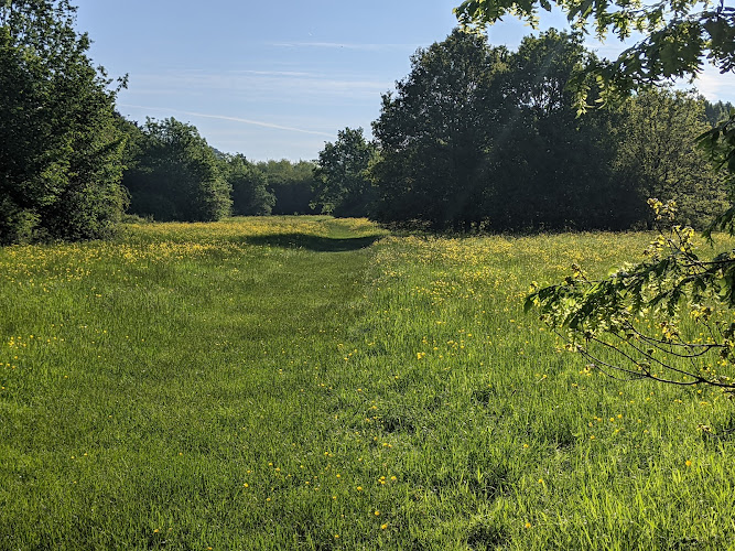 Cornmill Meadows