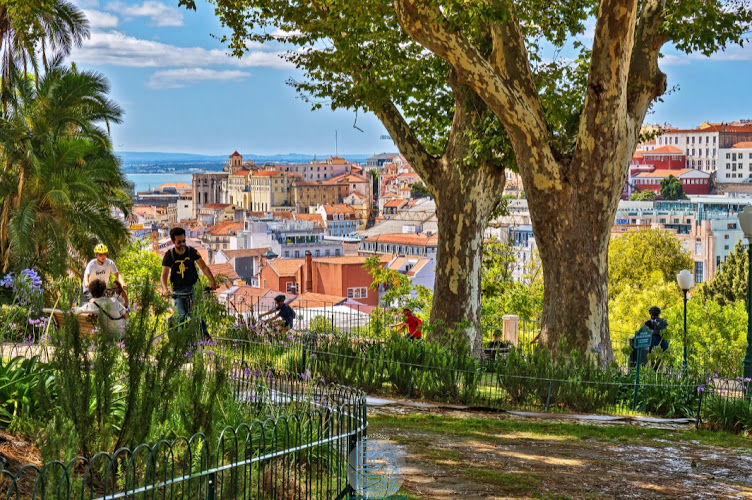 Torel Garden (Jardim do Torel)