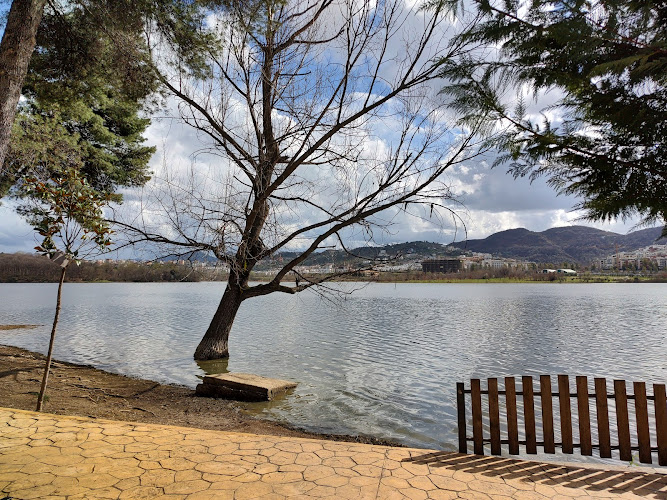 Lake view Point