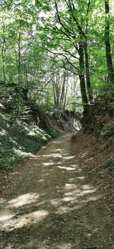 Hollow road "The Frenchman" (Holle weg "De Fransman")