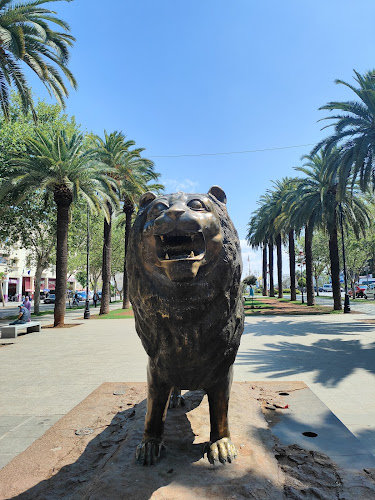 Lion Statue