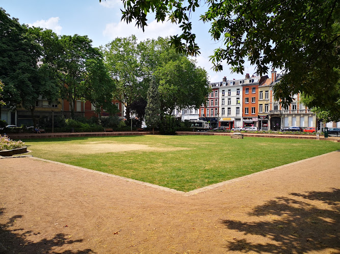 Square Birdwood