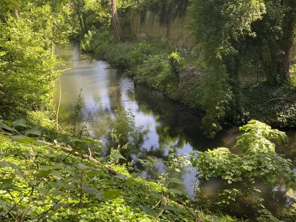 Lille Garden ecological (écologique de Lille Garden)